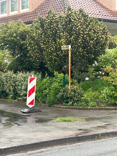©Bad Pyrmont Intakt Schlagloch an Straßenecke in Bad Pyrmont